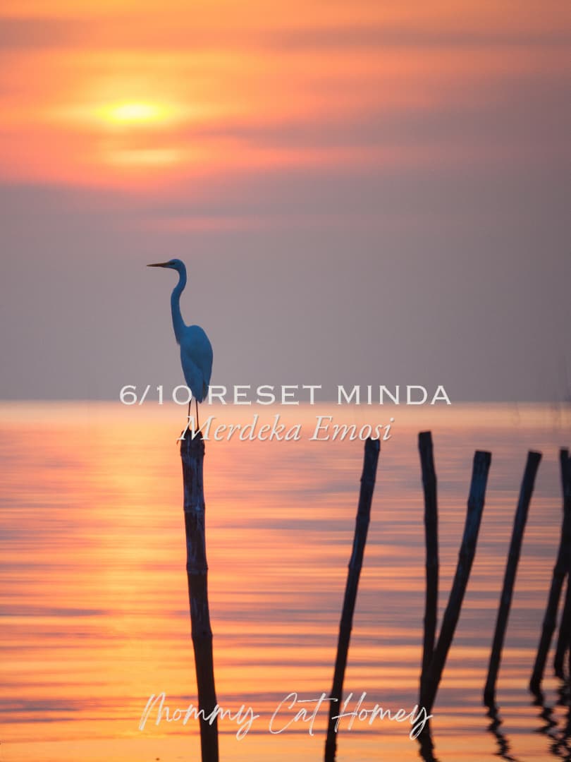6/10 RESET MINDA: MERDEKA EMOSI